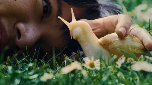 My Pet and Me