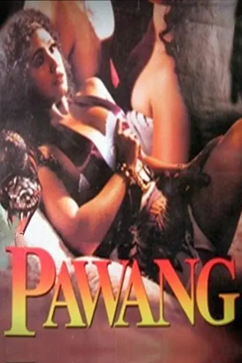 Pawang