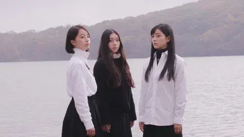 White Flowers and Fruits