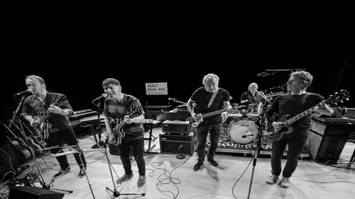 The Analogues: Abbey Road Relived