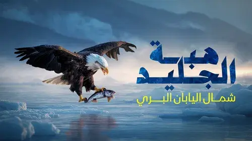 The Gift Of Ice: Wild Northern Japan