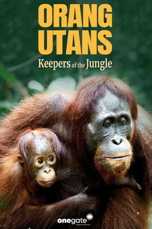 Orang-Utans - Borneos Waldmenschen