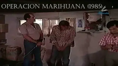 Operation Marihuana