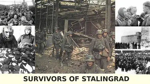 Survivors of Stalingrad