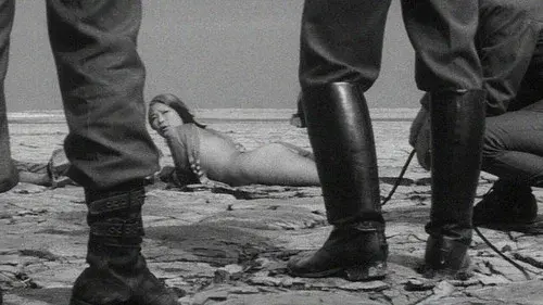Japanese Summer: Double Suicide