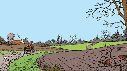 Tintin and the Picaros