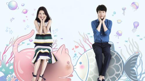 那片星空那片海