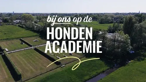 Bij ons op de Hondenacademie