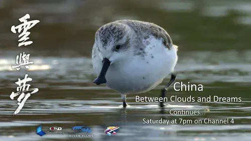 China: Between Clouds and Dreams