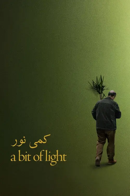 کمی نور