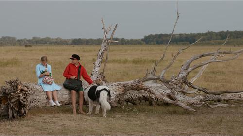 The Brave Adventures of a Little Shoemaker