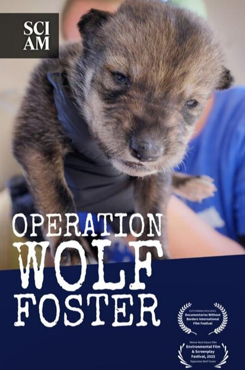 Operation Wolf Foster