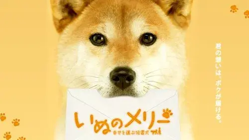 いぬのメリー～幸せを運ぶ伝書犬