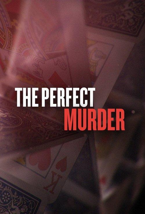 The Perfect Murder