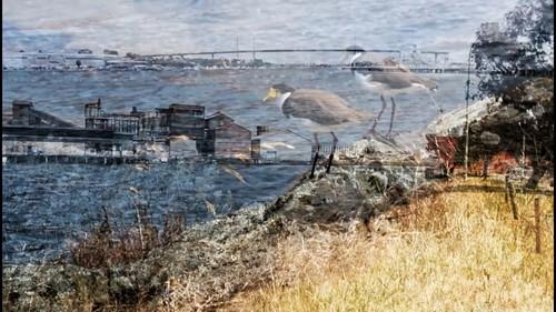 occupation studies: ngayanhurra bayarral Birrarung