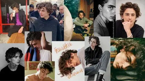 The True Story of Timothée Chalamet