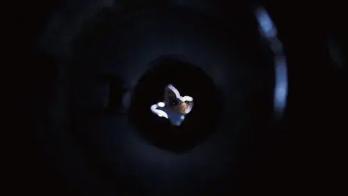 Disposal