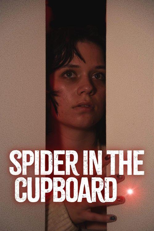 Spider in the Cupboard