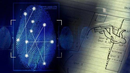 Wahre Verbrechen – Suche nach Gerechtigkeit