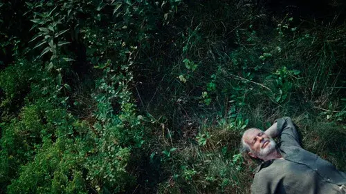 A Wolf in the Suburbs