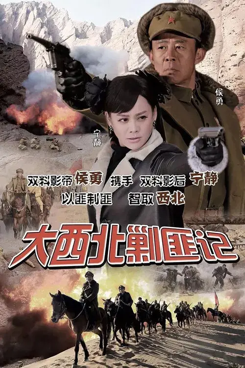 大西北剿匪记