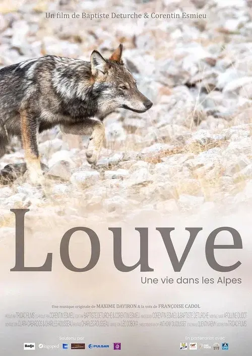 Louve, une vie dans les Alpes