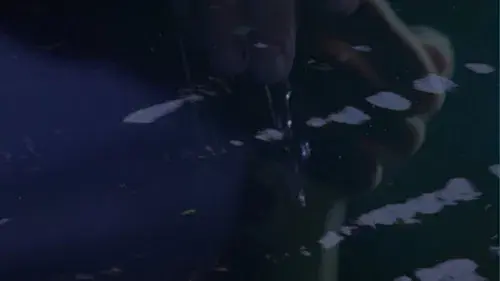 Seeing Through the Mists of Oblivion