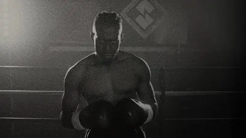 Punching Bag