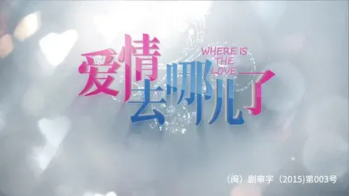 爱情去哪儿了