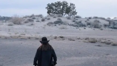 Man in the Mesa