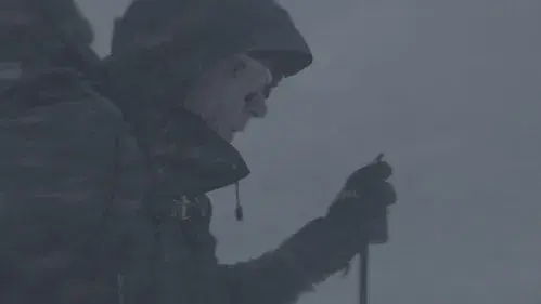 Wandering in the White