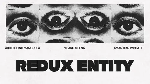 Redux entity