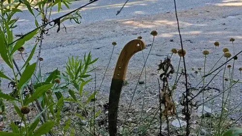 ΘΕΡΙΣΤΗΣ