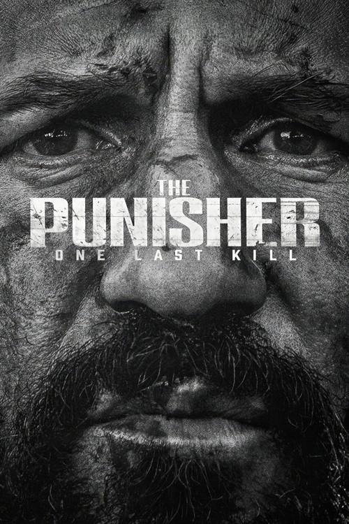 The Punisher: One Last Kill