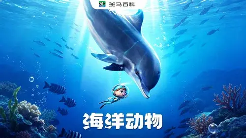 自然万象—海洋动物