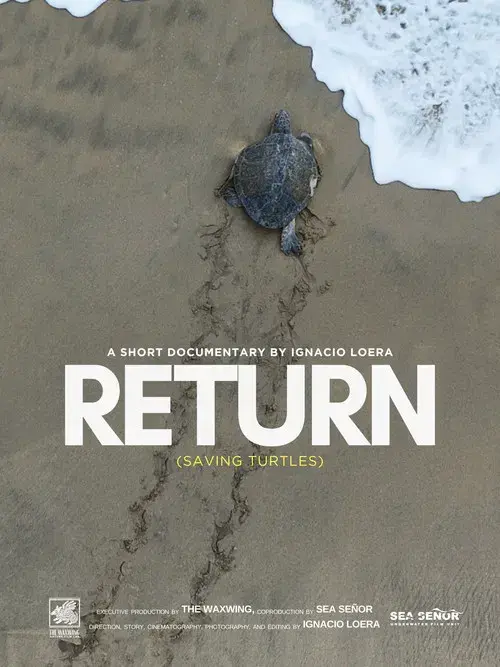 Return: Salvando a las Tortugas