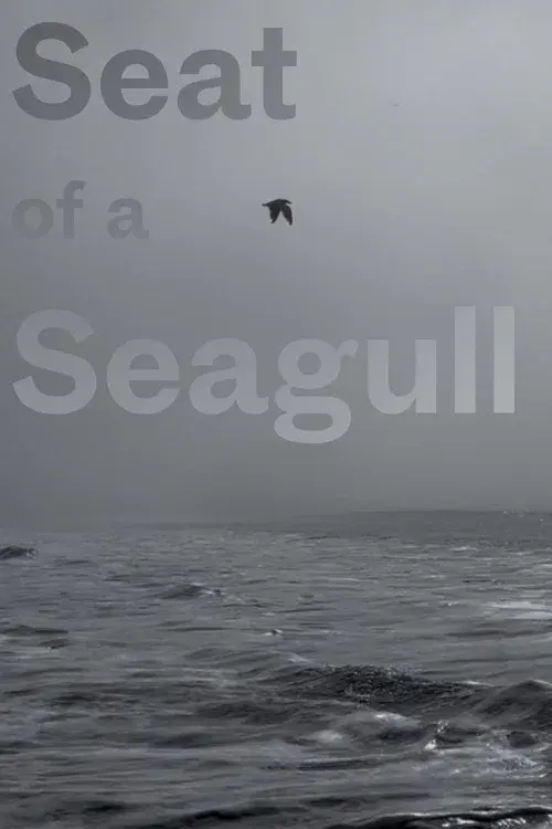 Seat of a Seagull