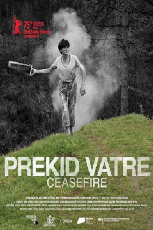 Prekid vatre