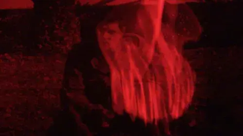 From Here to the Apple Tree