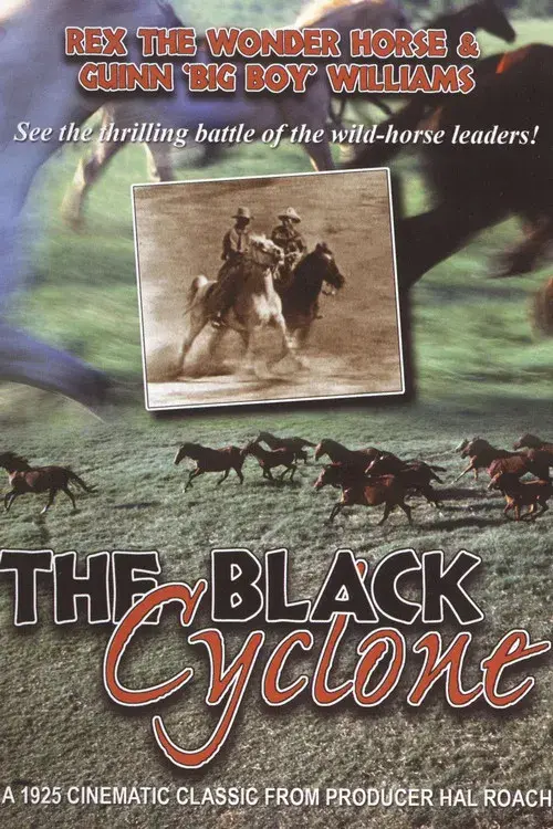The Black Cyclone