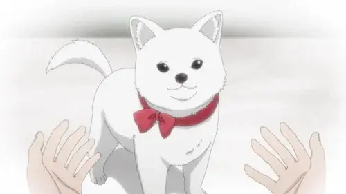 きのこいぬ
