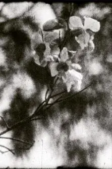 A Thousand Days, A Thousand Nights