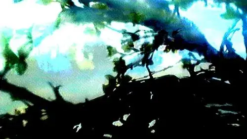 smear
