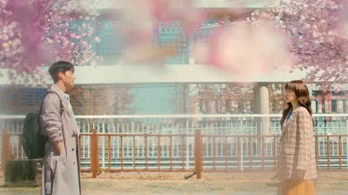 검색어를 입력하세요 WWW