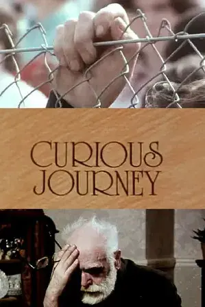 Curious Journey