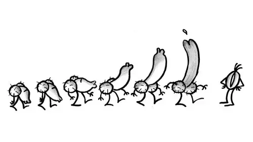 Pene e Vagina