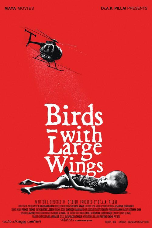 വലിയ ചിറകുള്ള പക്ഷികൾ