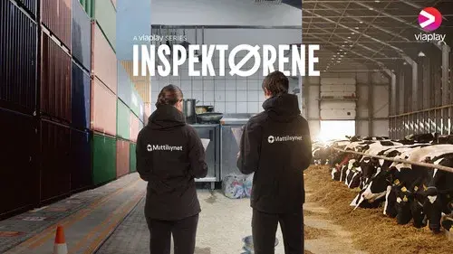 Inspektørene