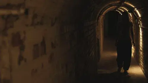 The Cellar