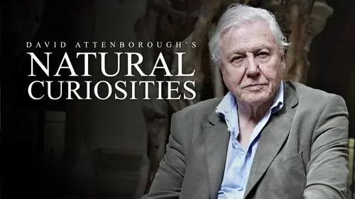 David Attenborough's Natural Curiosities